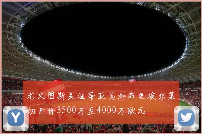 尤文图斯关注蒂亚戈加布里埃尔莱切开价3500万至4000万欧元