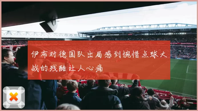 伊布对德国队出局感到惋惜点球大战的残酷让人心痛